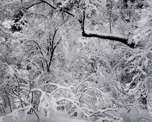 Ansel Adams, Fresh Snow | Afterimage Gallery
