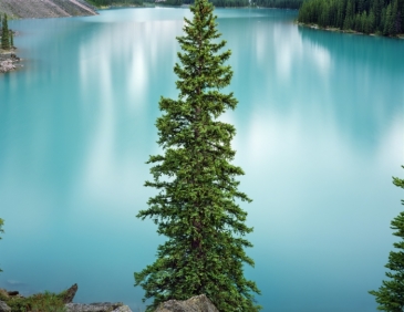 James Baker, Moraine Lake | Afterimage Gallery