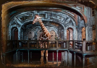 Fran Forman, Requiem for the Giraffe