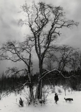 Pennti Sammallahti, Boy and Dog Under Tree